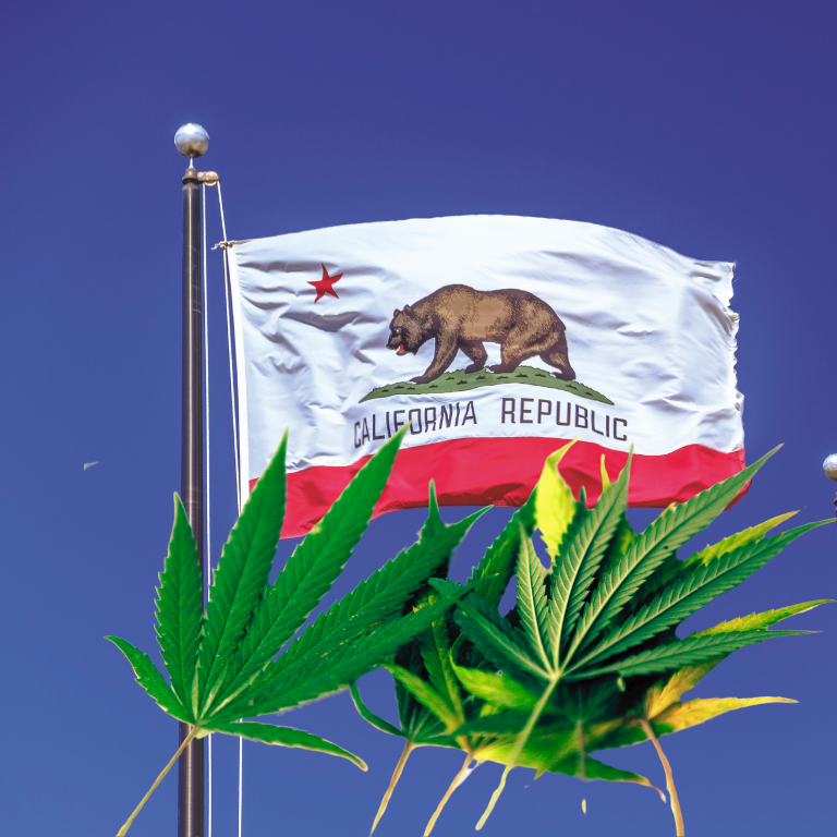 California's Best-Selling Flower Strains of 2024 California's Best-Selling Flower Strains of 2024