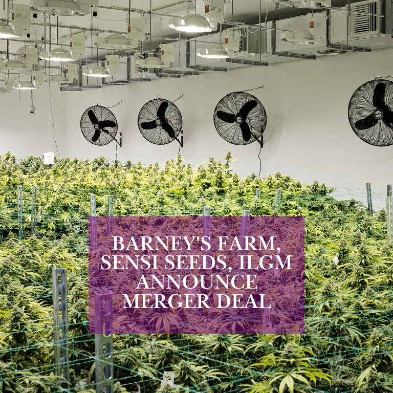 Barney's Farm, Sensi Seeds, ILGM to Merge in New Agreement Barney's Farm, Sensi Seeds, ILGM to Merge in New Agreement