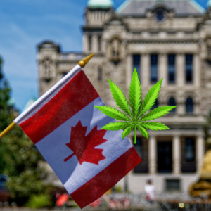 cannada's flag and cannabis leaf with building in background and