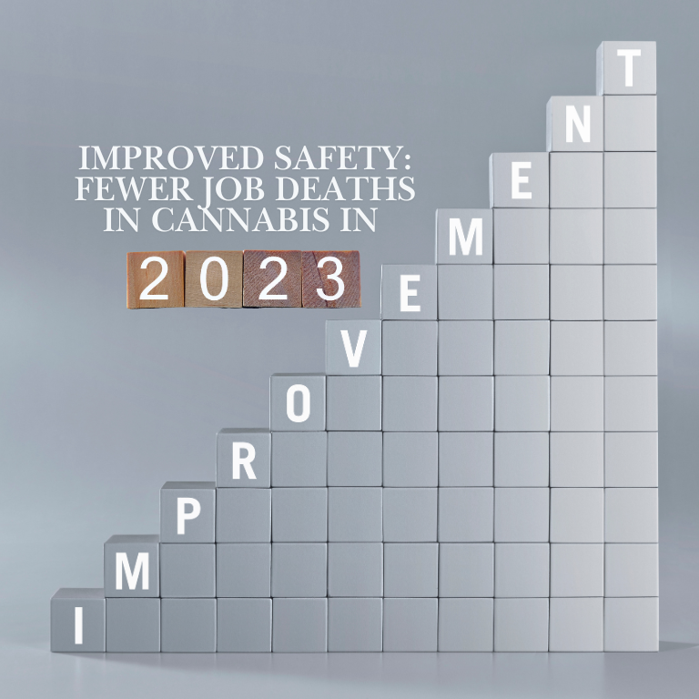 Improved Safety: Fewer Job Deaths in Cannabis in 2023 Improved Safety: Fewer Job Deaths in Cannabis in 2023