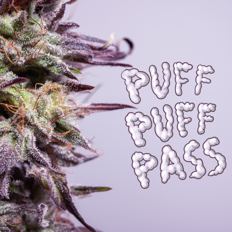 GOP Presses Biden for Details on Cannabis Rescheduling