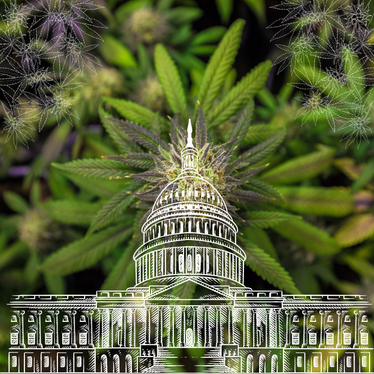 House Committee Halts Biden's Push for Cannabis Rescheduling