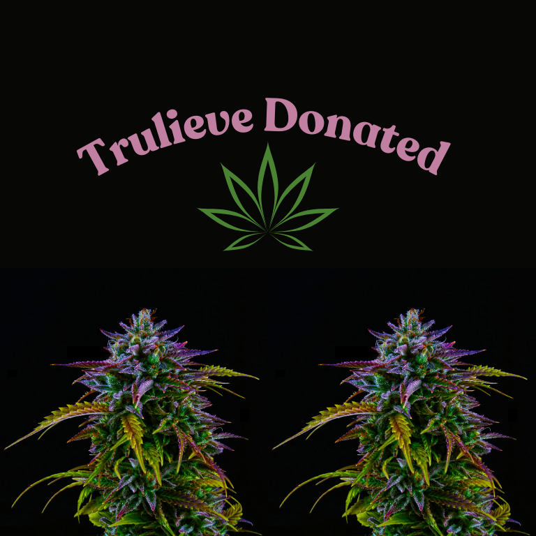 Trulieve Invests $1M in Florida's Push for Recreational Cannabis