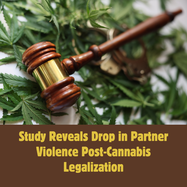 Study Reveals Drop in Partner Violence Post-Cannabis Legalization