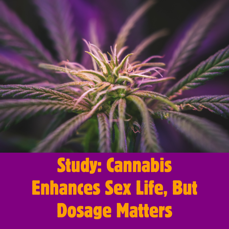 Cannabis Tied to Better Sex, Study Shows Dosage Key