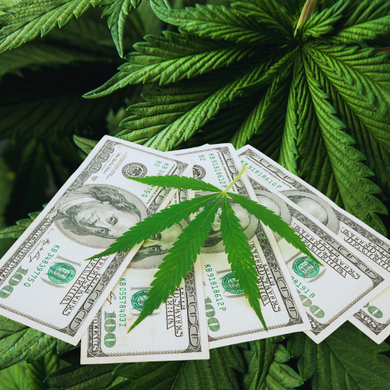 Cannabis Industry: Growing Easier Than Raising Capital