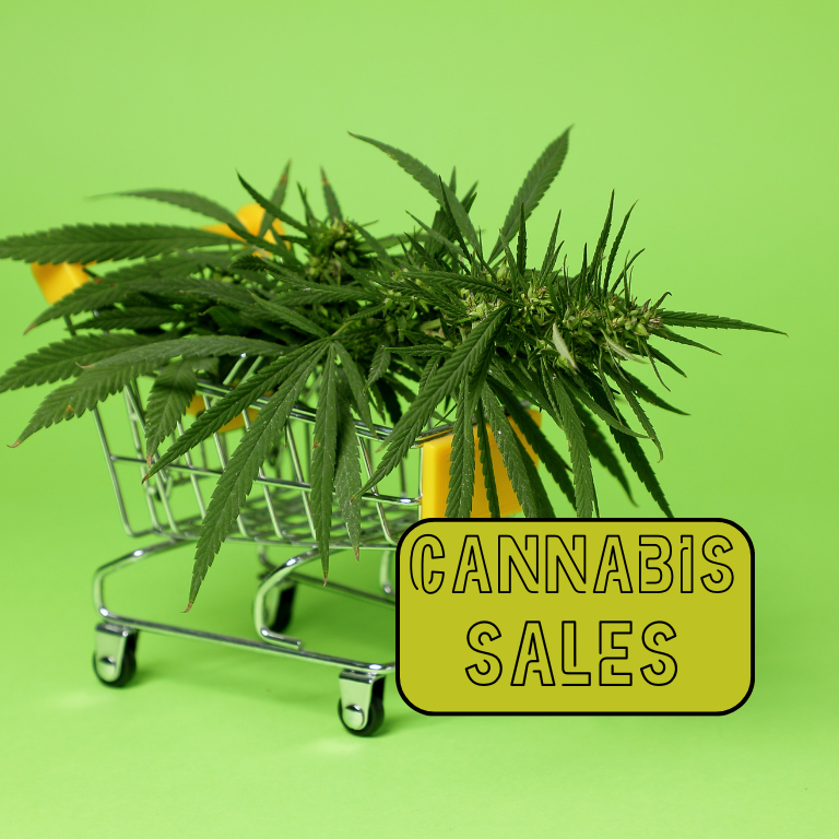 Maryland Hits $1.1 Billion in First Year of Legal Cannabis Sales