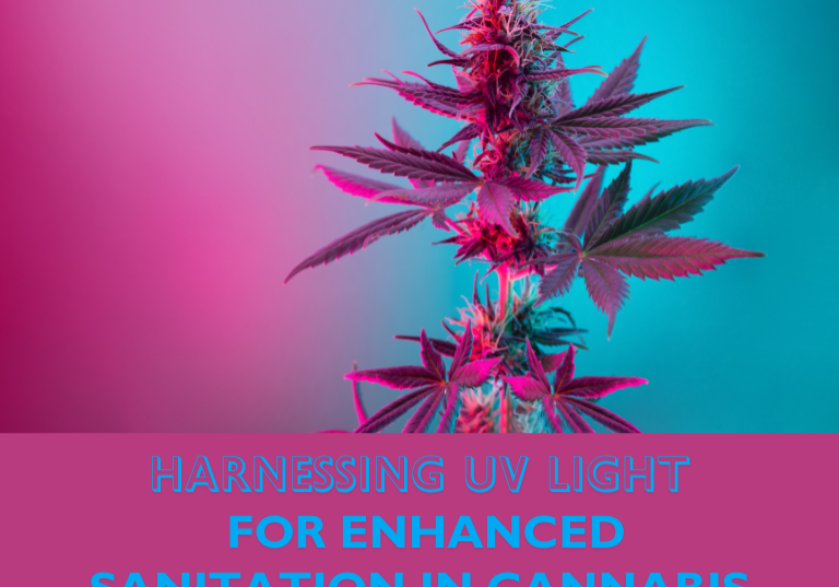 Harnessing UV Light for Enhanced Sanitation in Cannabis Facilities