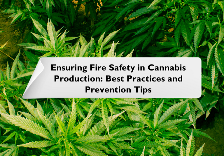 Best Practices and Prevention Tips