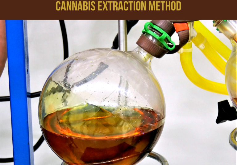 CO₂ or Ethanol? Picking the Right Cannabis Extraction Method