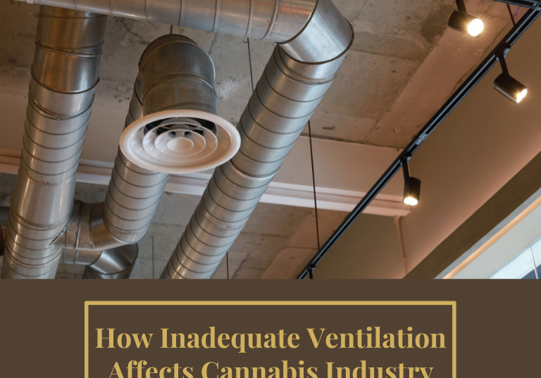 How Inadequate Ventilation Affects Cannabis Industry Workplaces