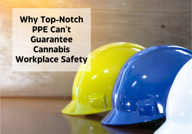 Why Top-Notch PPE Can't Guarantee Cannabis Workplace Safety