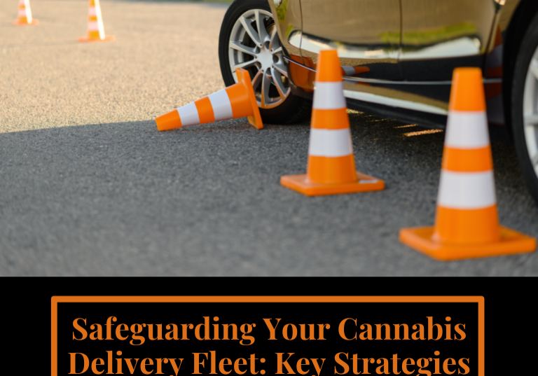 Top Strategies for Keeping Your Cannabis Delivery Drivers Safe