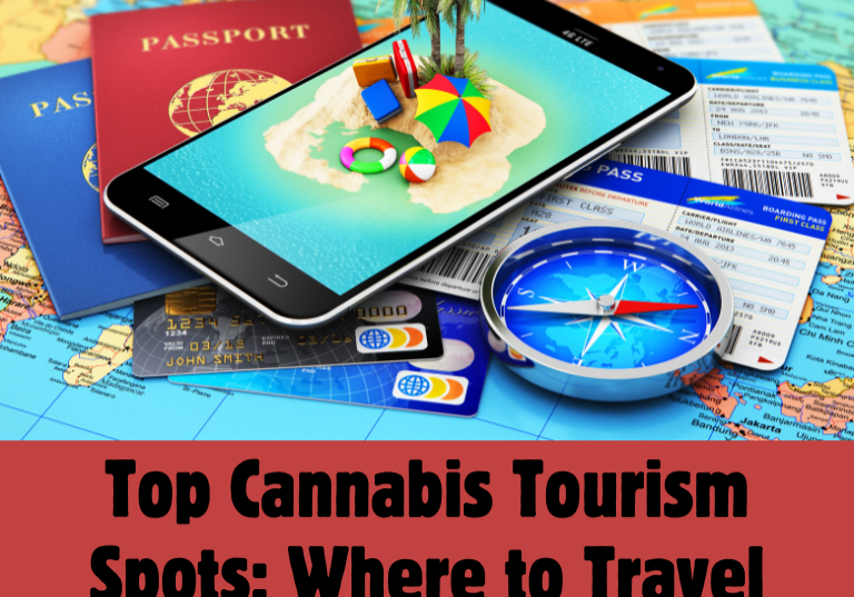 Where to Go in 2024: Top Cannabis Travel Destinations