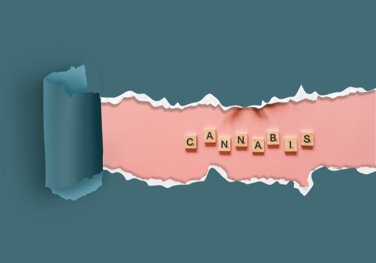 TheSeattleCannabis: Support System for the Cannabis Industry