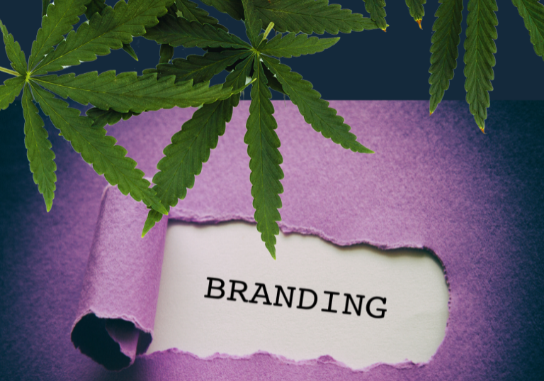 The Top 15 Qualities Every Cannabis Brand Needs for Success