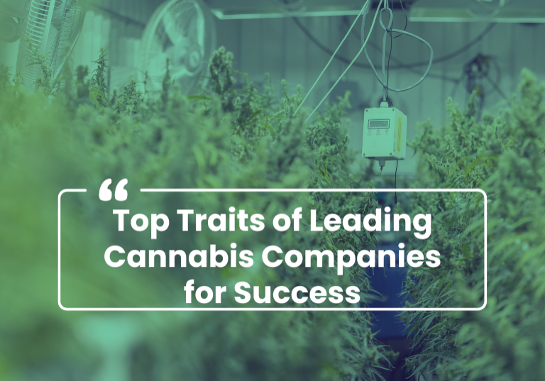 Key Success Factors for High-Performing Cannabis Companies