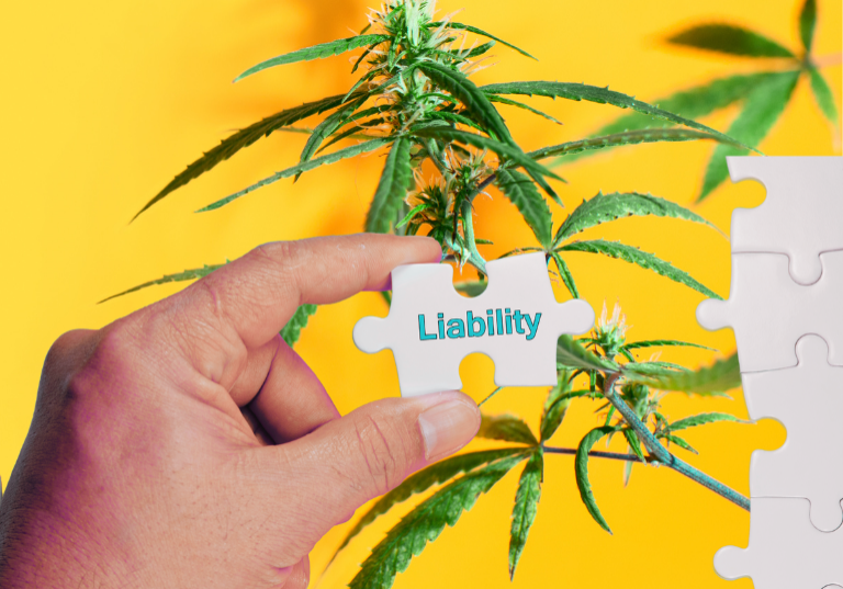 Protect Your Business With Employment Liability Insurance Protect Your Business With Employment Liability Insurance