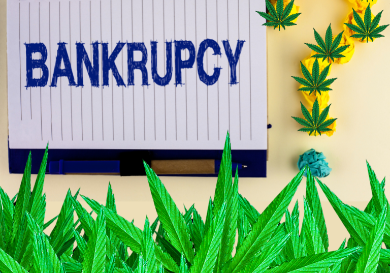 Bankruptcy Risks in the Legal Cannabis Industry
