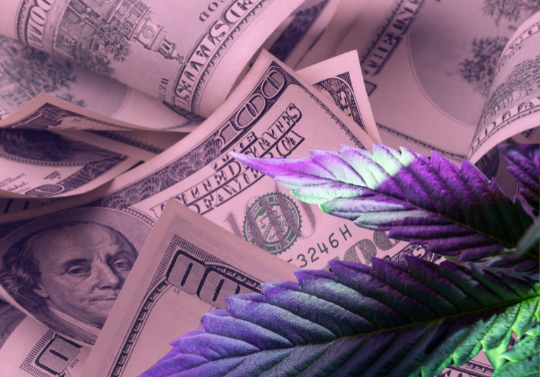 The Cannabis Enigma: Navigating U.S. Tax, Banking, and Insurance