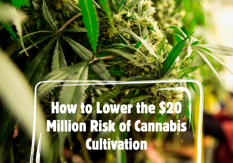 How to Lower the $20 Million Risk of Cannabis Cultivation