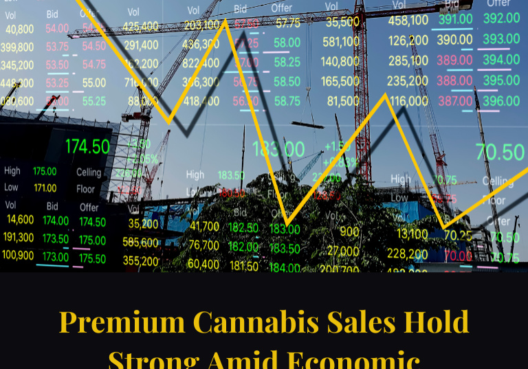 Premium Cannabis Sales Hold Strong Amid Economic Challenges
