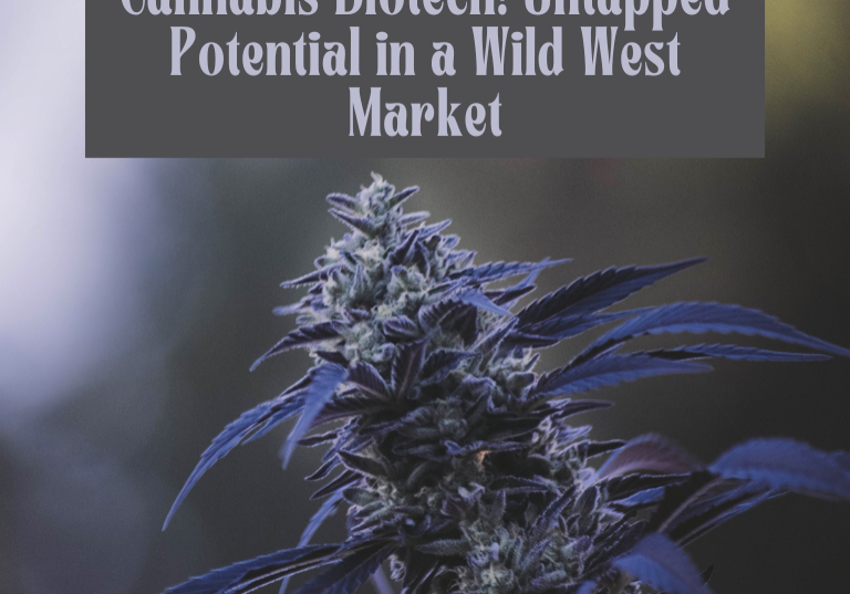 Cannabis Biotech: Untapped Potential in a Wild West Market