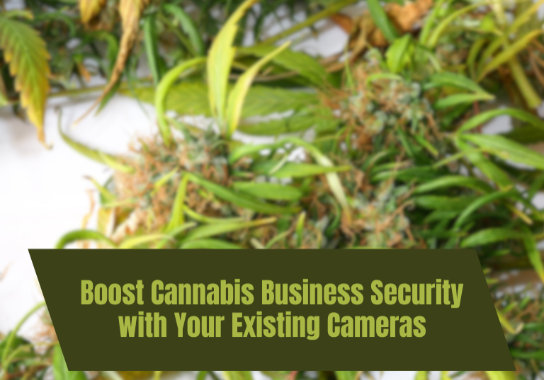 Boost Cannabis Business Security with Your Existing Cameras