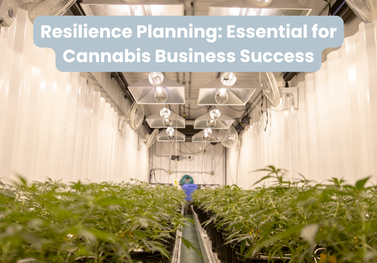 Resilience Planning: Essential for Cannabis Business Success