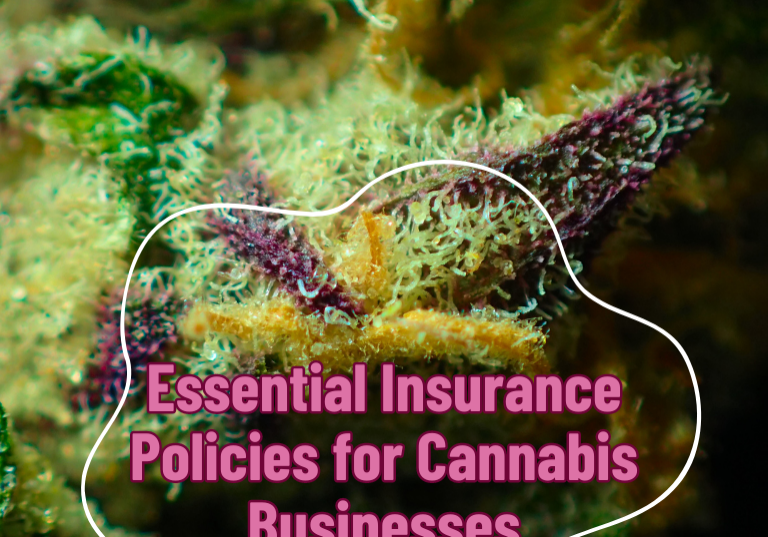 Essential Insurance Policies for Cannabis Businesses