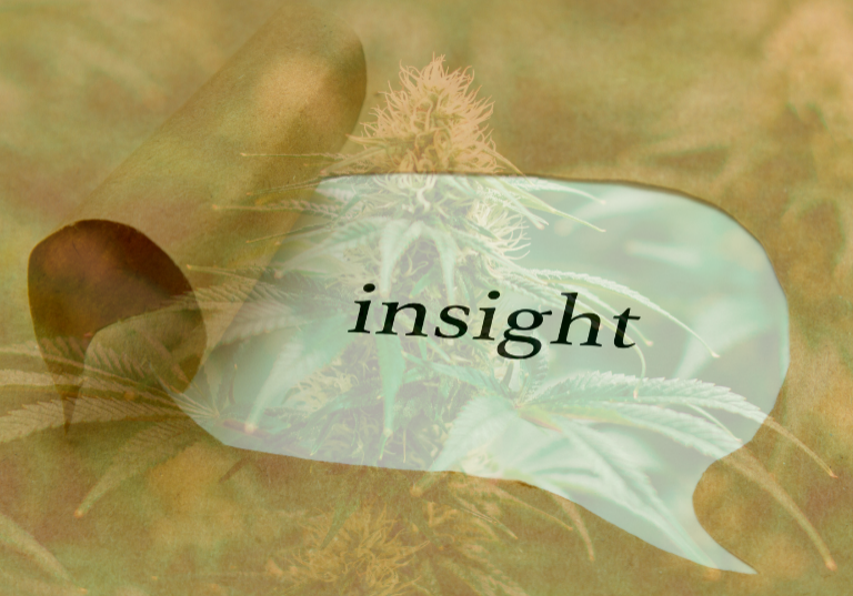 The Role of Thinking Groups in Cannabis Safety and Risk