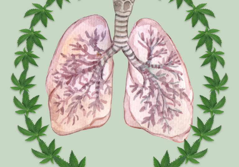 Occupational Cannabis Exposure and Allergy Risk Assessment