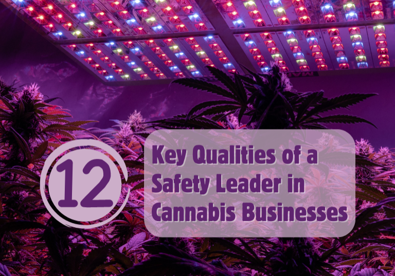12 Key Qualities of a Safety Leader in Cannabis Businesses