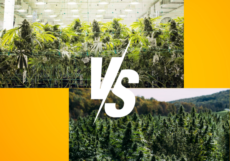 Cannabis Growing: The Pros & Cons of Indoor vs. Outdoor