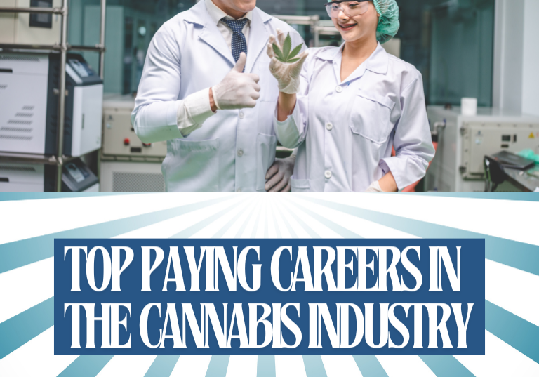 Top Paying Careers in the Cannabis Industry