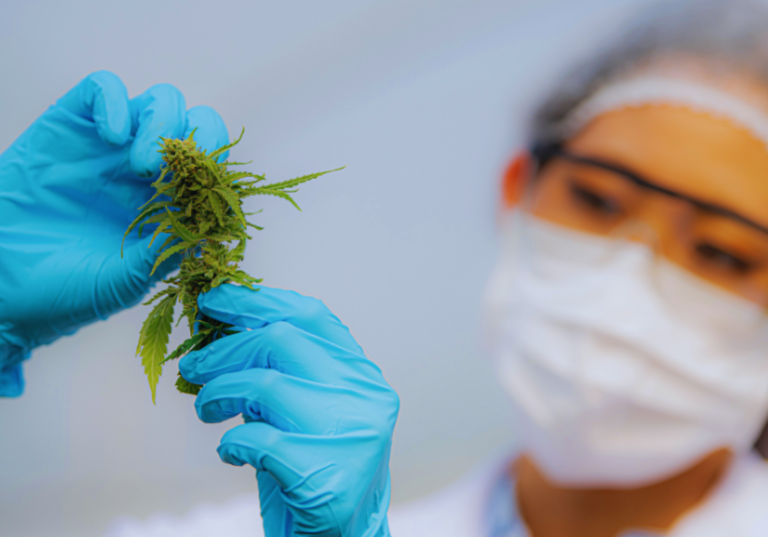 An Overview of Cannabis Surety Bonds: Types and Uses