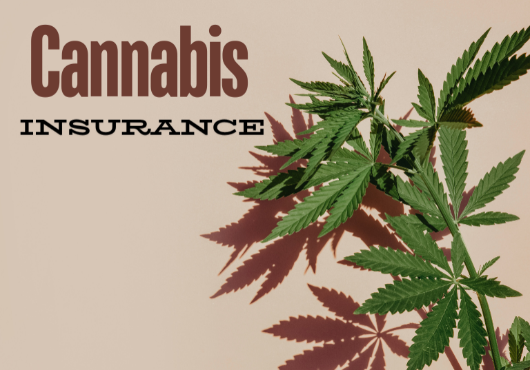 New Accessibility in Cannabis and Hemp Insurance Compliance