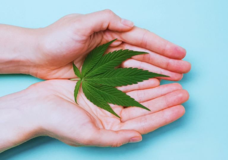 Improved Compliance Access for Cannabis, Hemp Insurance