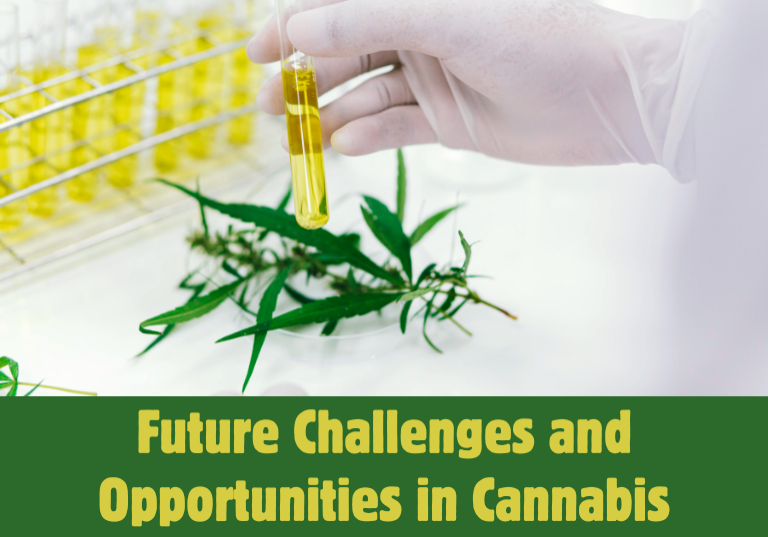 Future Challenges and Opportunities in Cannabis Extraction