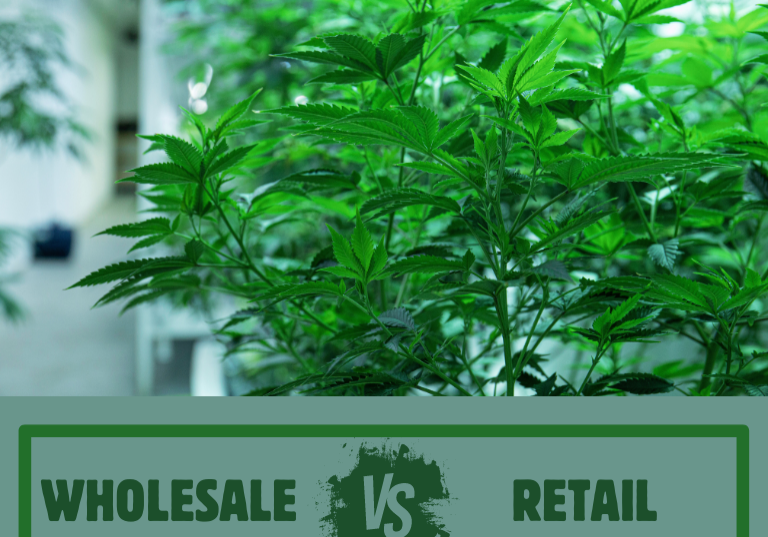 Comparing Cannabis Wholesale and Retail Distribution