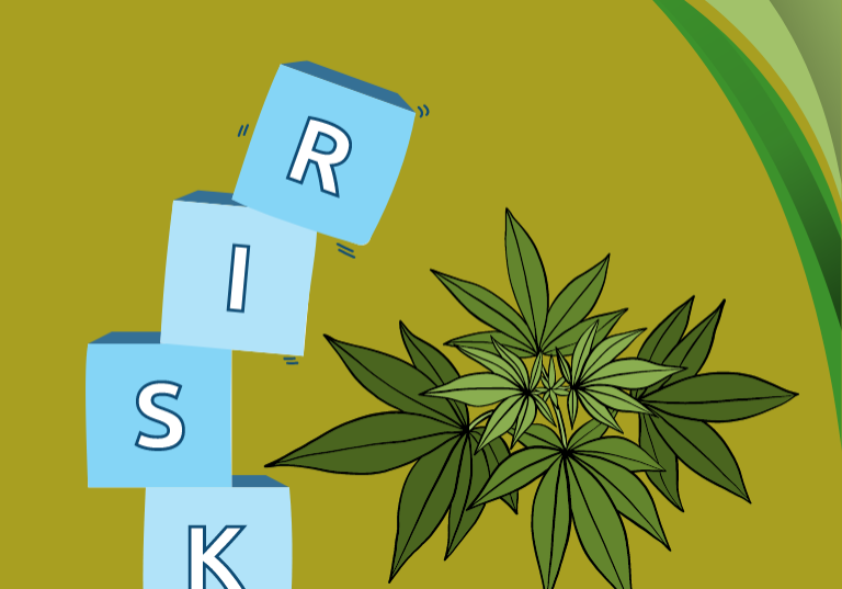 Crafting a Risk Management Plan for Cannabis Facilities