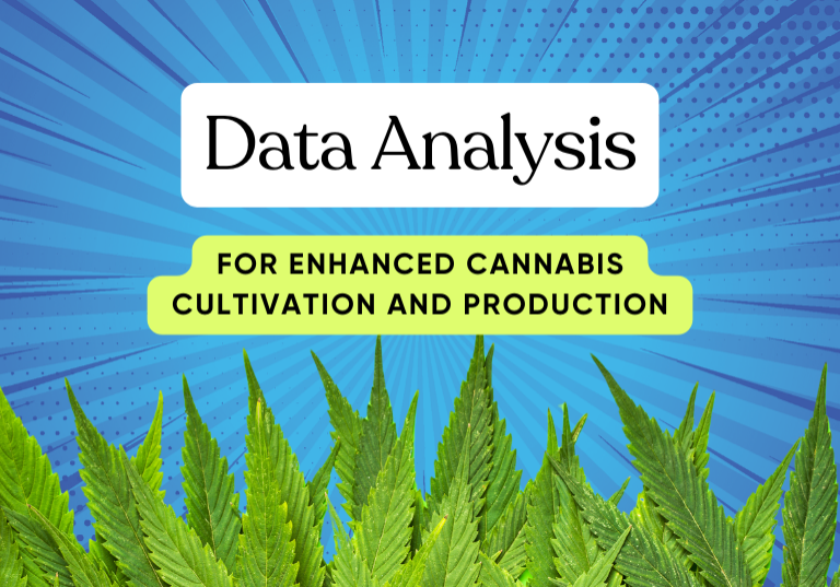 Enhancing Cannabis Production with Data Analytics
