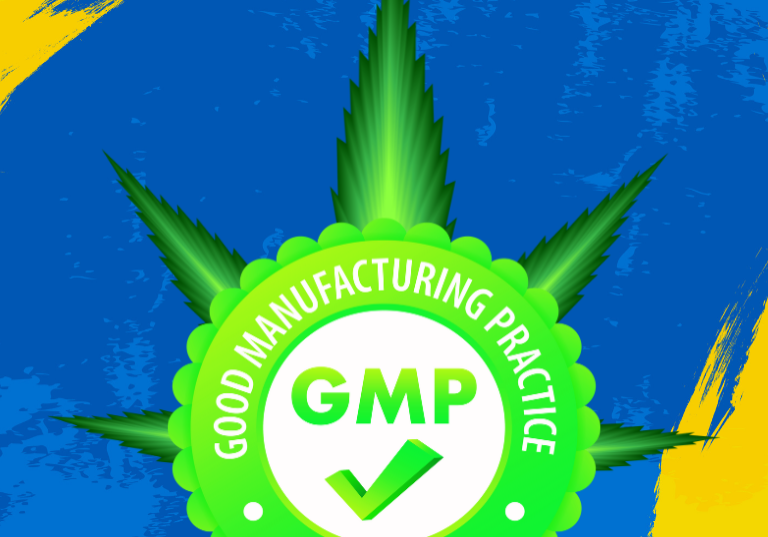 GMP Compliance in Cannabis Processing