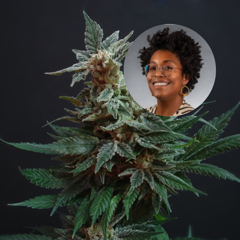 Revamping the Office of Cannabis Management: Felicia Reid Speaks