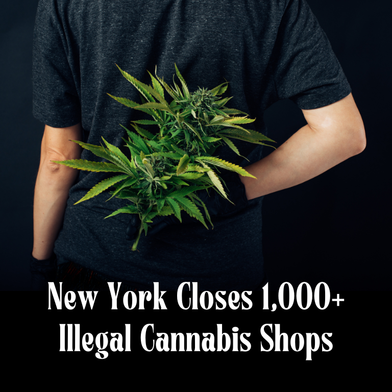 New York Takes Down 1,000+ Unlicensed Cannabis Shops