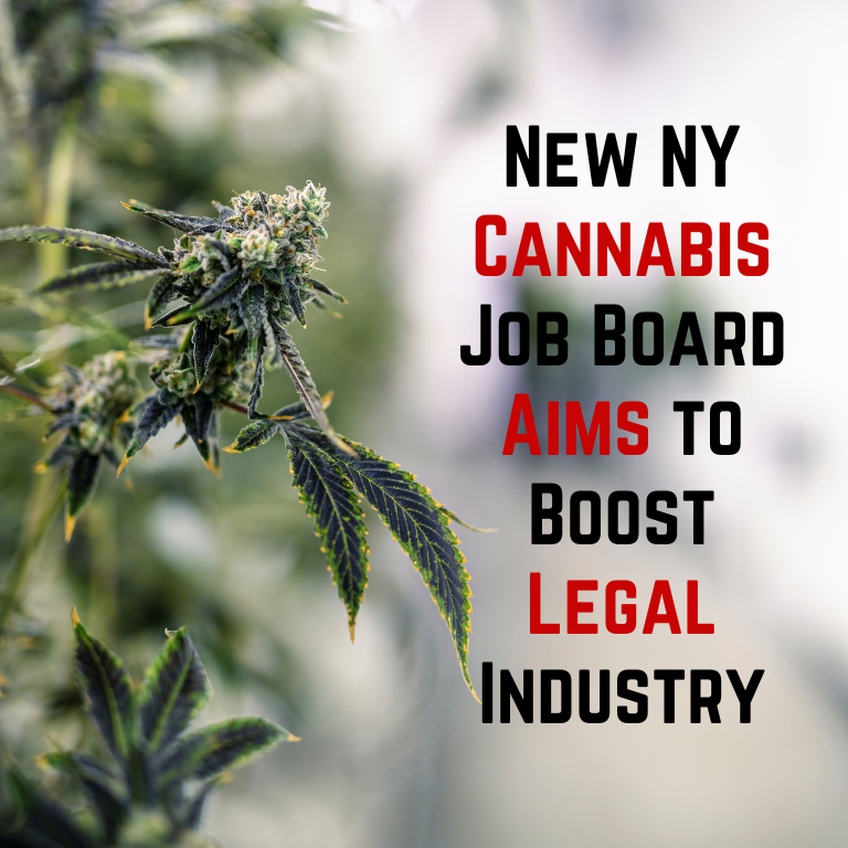 New NY Cannabis Job Board Aims to Boost Legal Industry