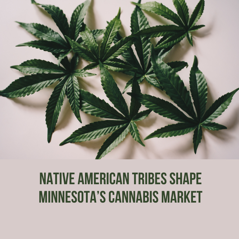 Native American Tribes Shape Minnesota’s Cannabis Market