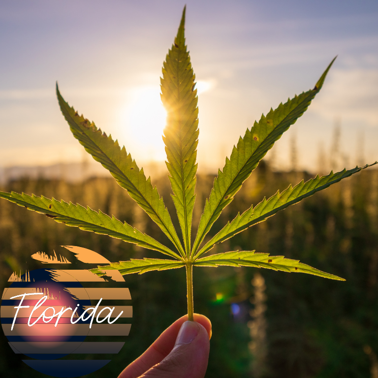 New Florida Bill: Ban on Public Smoking if Cannabis is Legalized