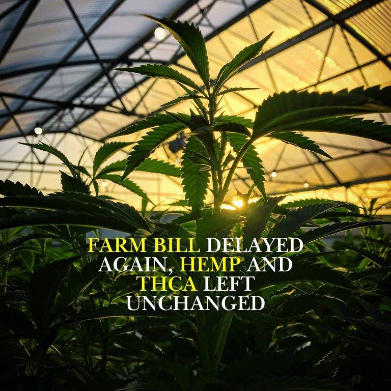 Farm Bill Delayed Again, Hemp and THCA Left Unchanged Farm Bill Delayed Again, Hemp and THCA Left Unchanged