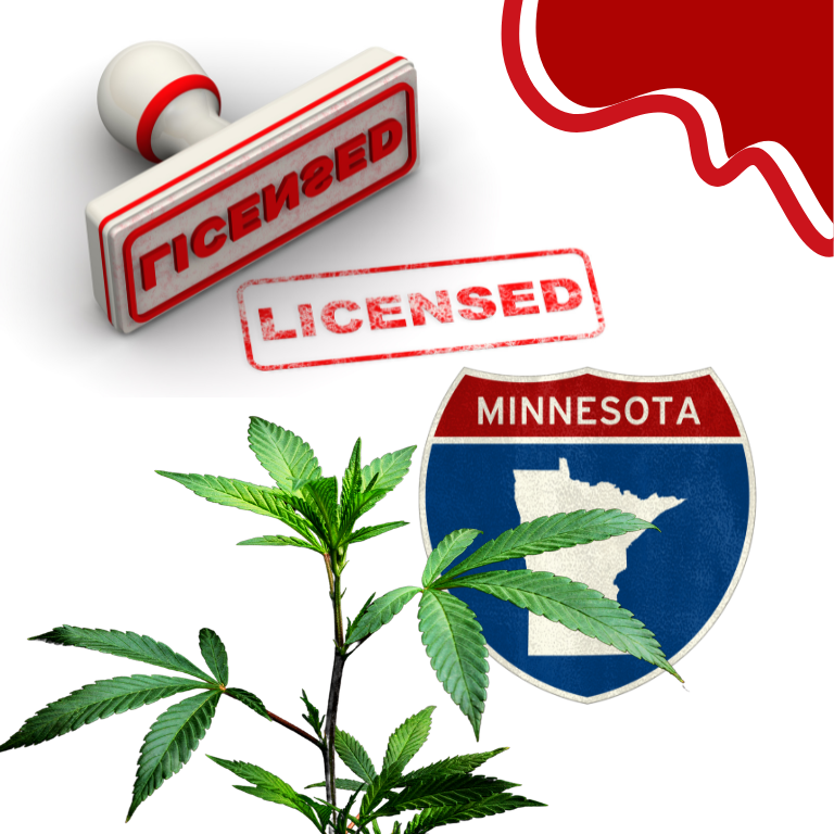 Minnesota’s Early Cannabis License Window Sees Out-of-State Surge